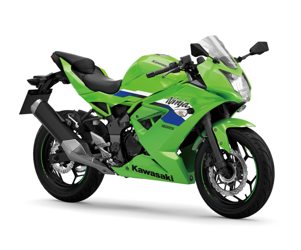 KAWASAKI Ninja 125 Verde/Gri 2026