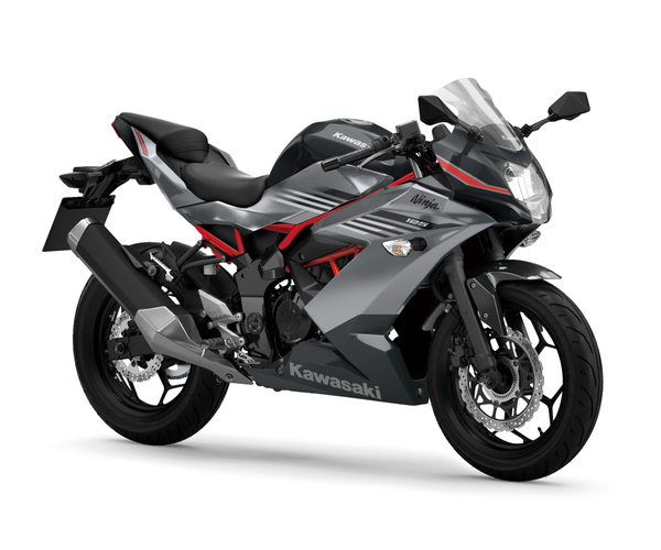 KAWASAKI Ninja 125 Verde/Gri 2027